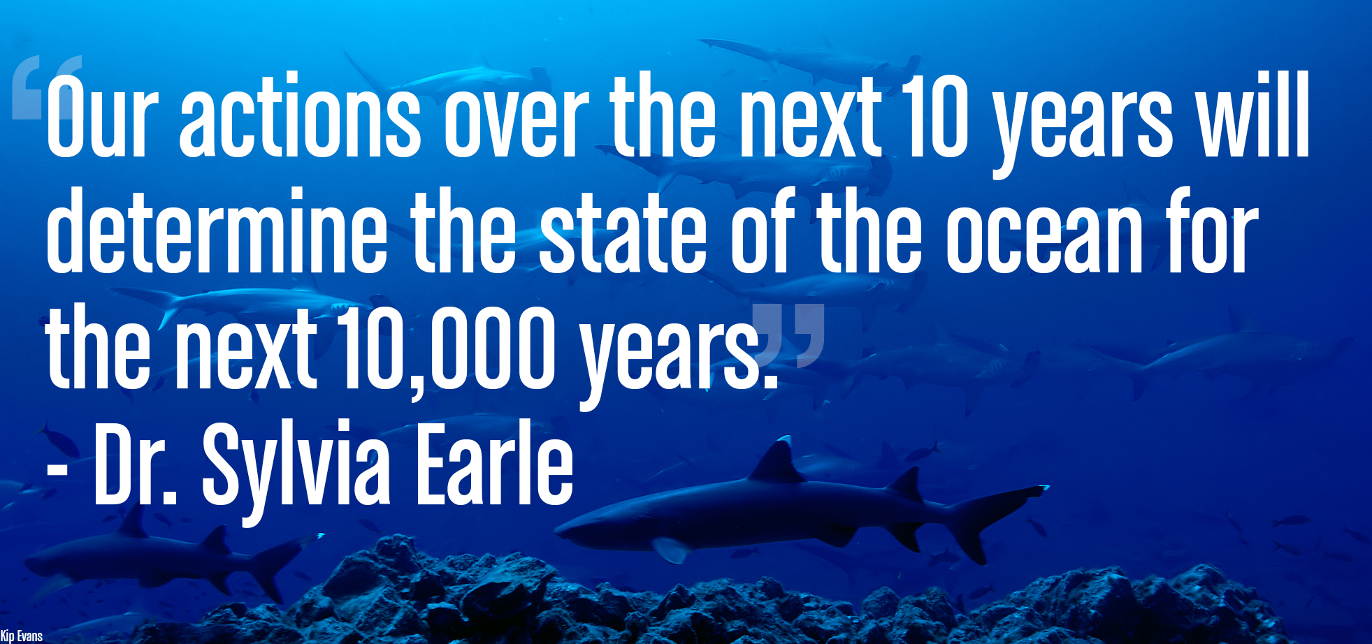 Our actions over the next 10 years will determine the state of the ocean for the next 10,000 years. - Dr. Sylvia Earle